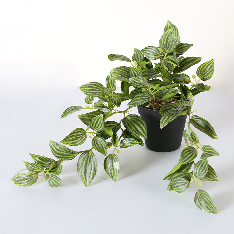 Artificial Plants Faux Peperomia Watermelon Plants