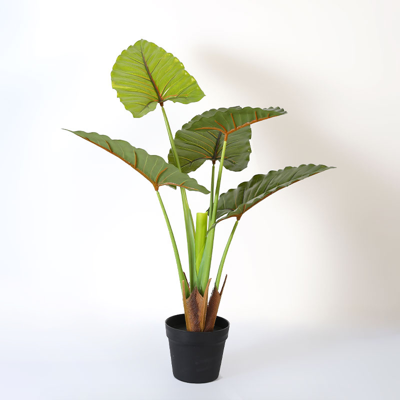 Artificial Alocasia Tree in Black Matte Planter's Pot