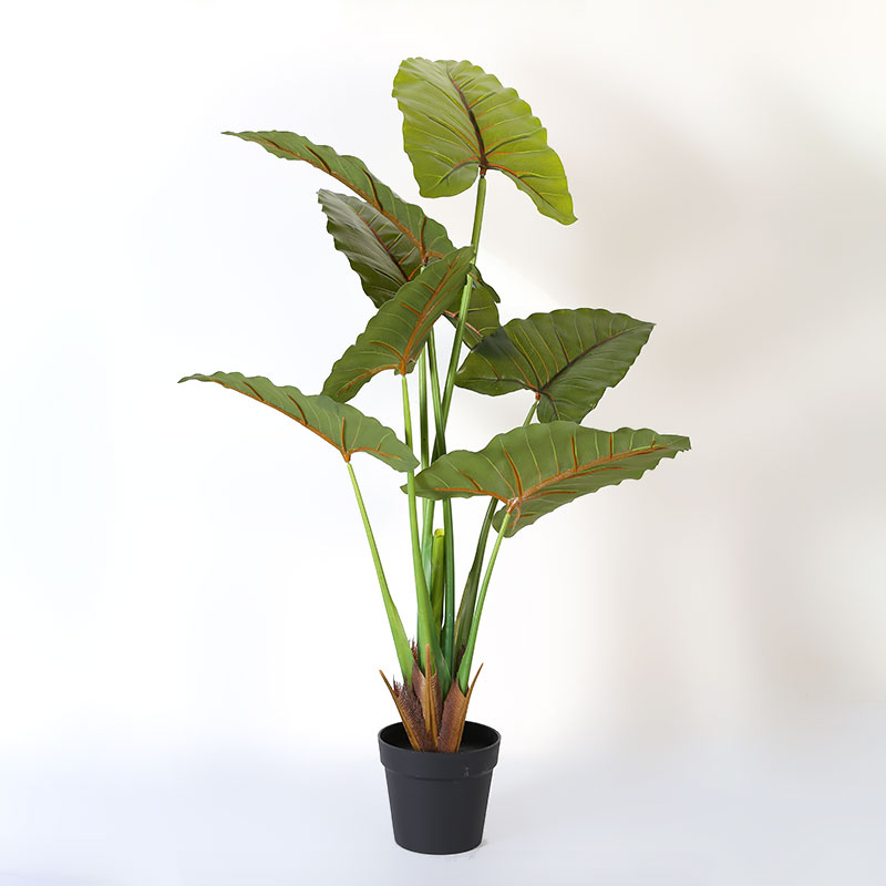 Artificial Alocasia Tree in Black Matte Planter's Pot