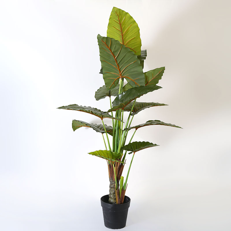 Artificial Alocasia Tree in Black Matte Planter's Pot