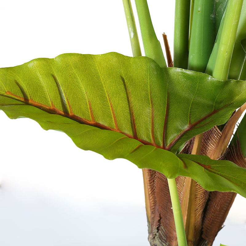 Artificial Alocasia Tree in Black Matte Planter's Pot