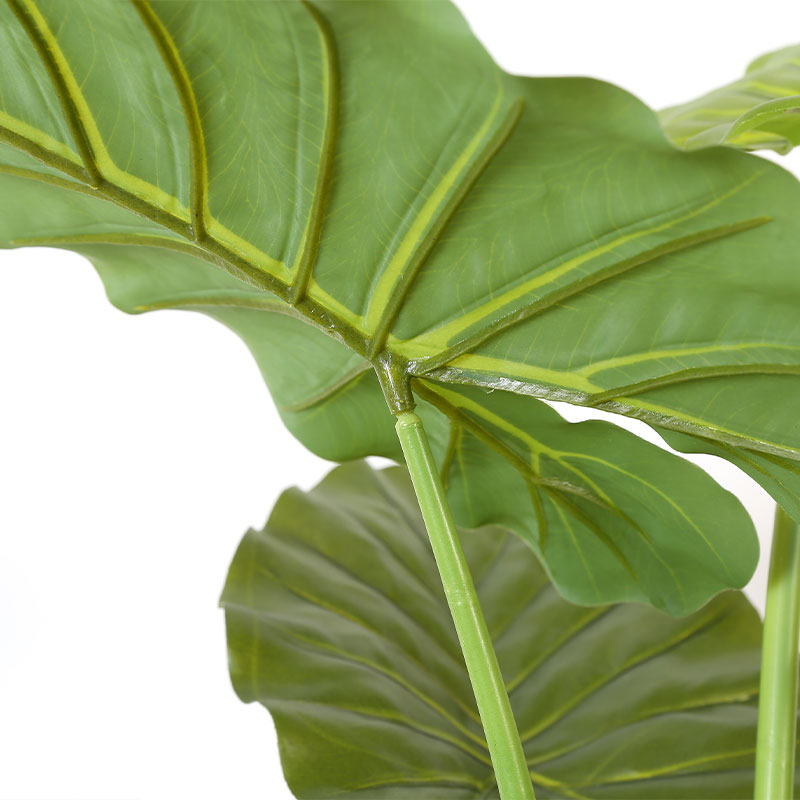 Simulate Monstera deliciosa