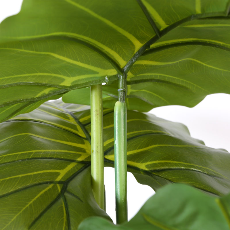 Simulate Monstera deliciosa