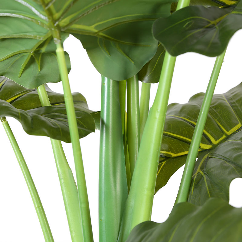 Simulate Monstera deliciosa