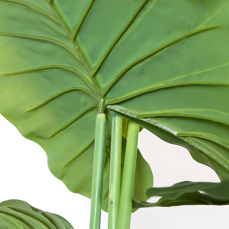 Simulate Monstera deliciosa