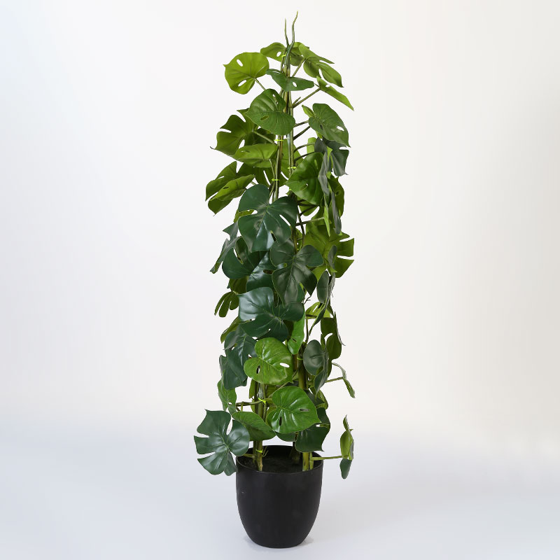 Green Artificial Epipremnum aureum