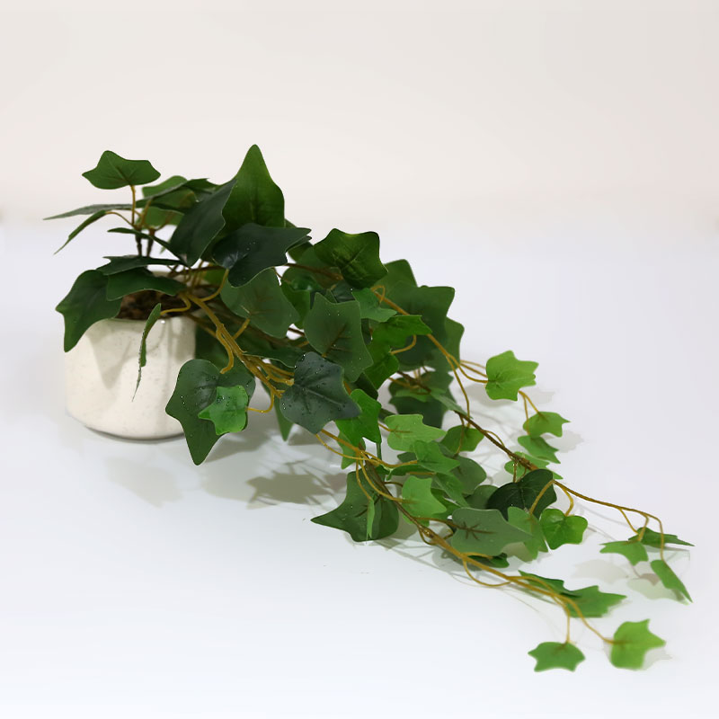 Artificial Ivy