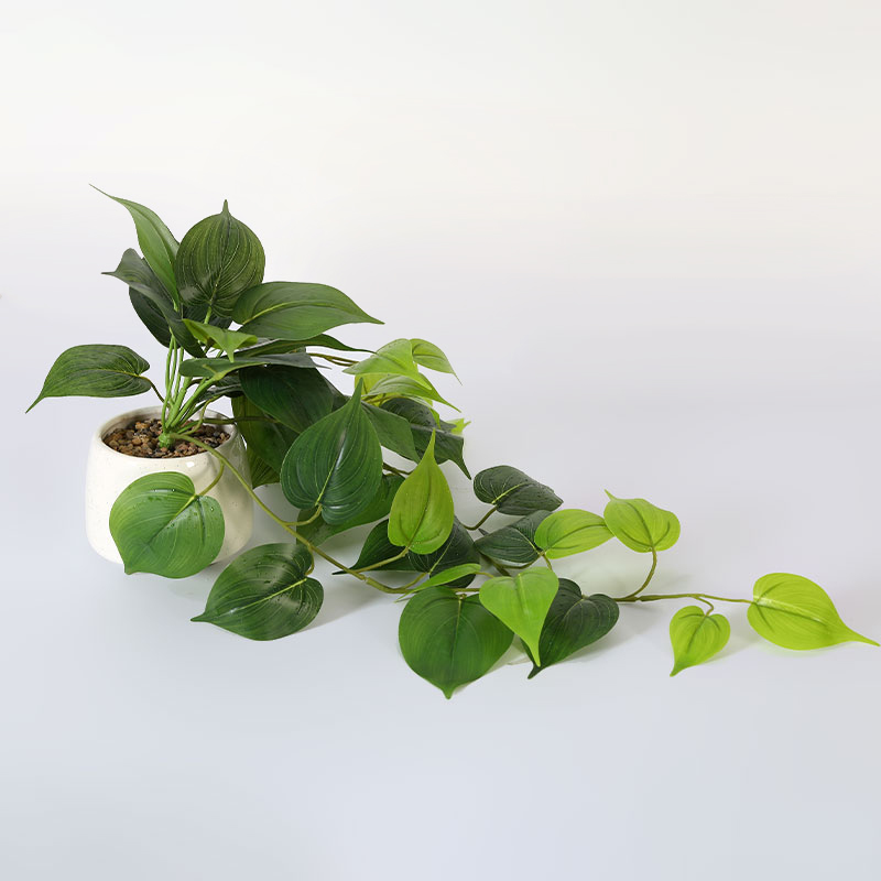 Artificial Ivy