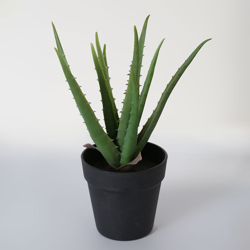 Green Artificial Aloe Vera Plant in Black Matte Pot