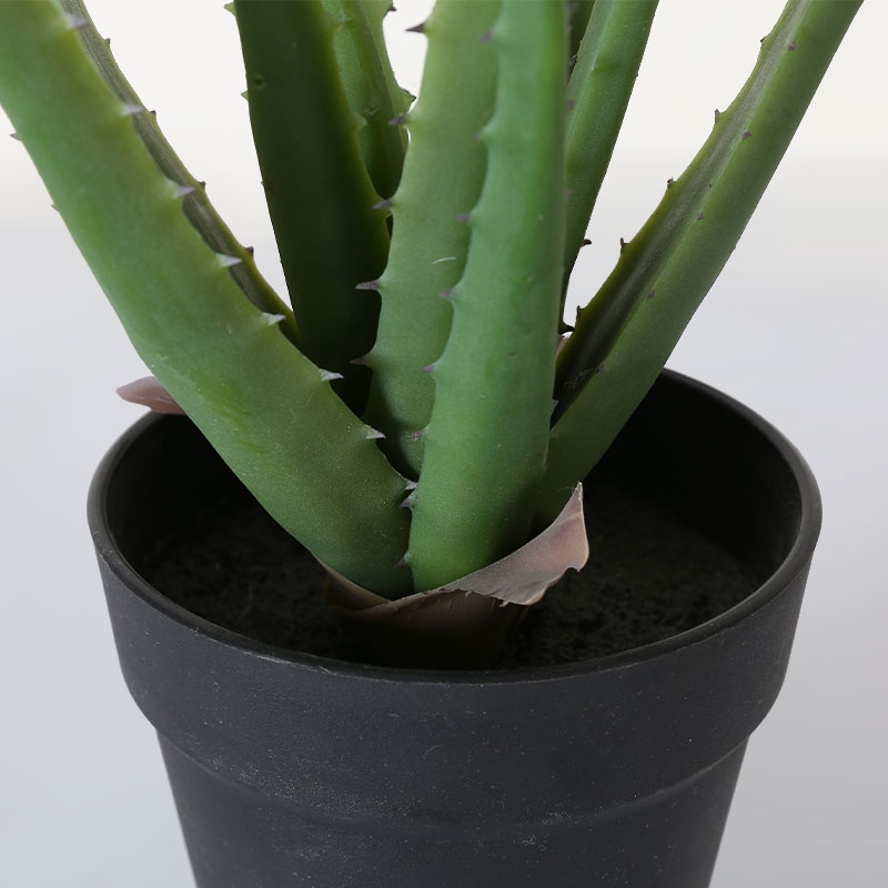 Green Artificial Aloe Vera Plant in Black Matte Pot