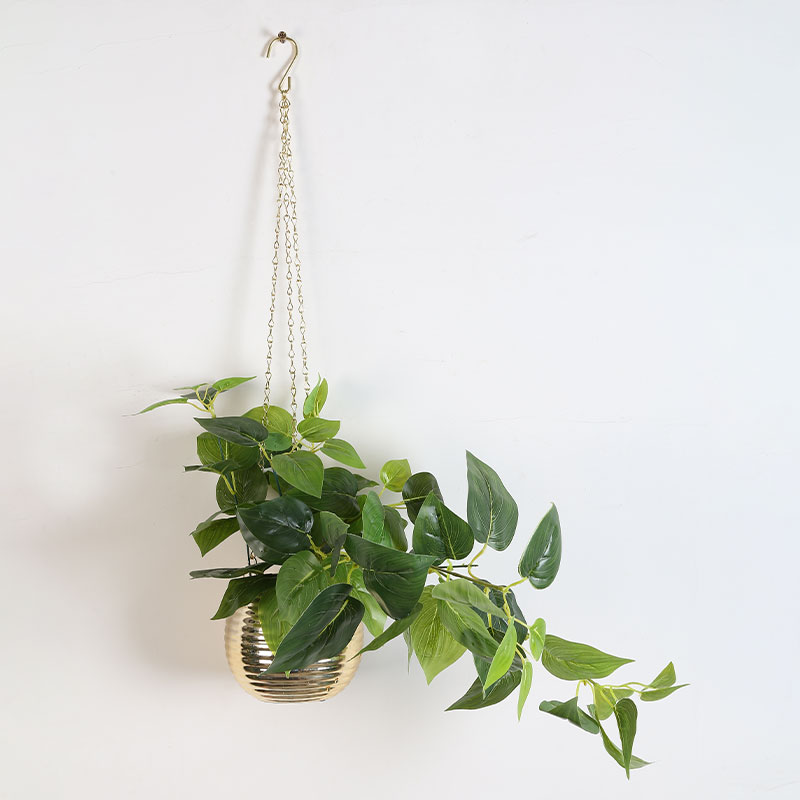 artificial Epipremnum aureum potted plant