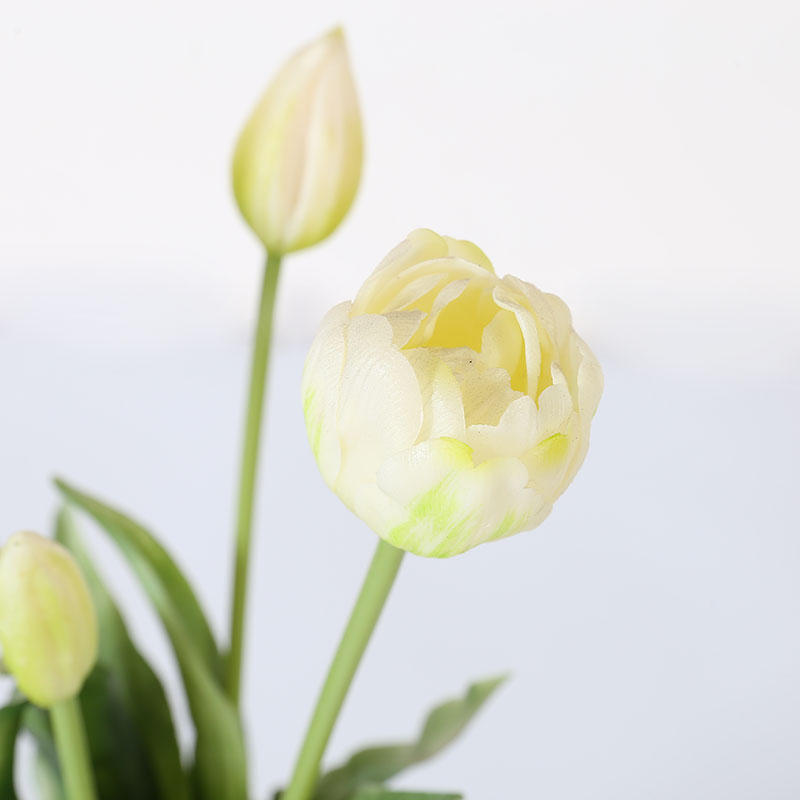 Artificial White Tulipa gesneriana