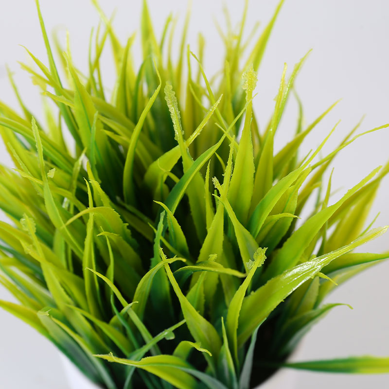 Wheatgrass potted plant