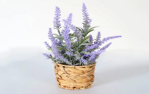 Elevate Your Interior: Faux Potted Trees For Indoor Ambiance